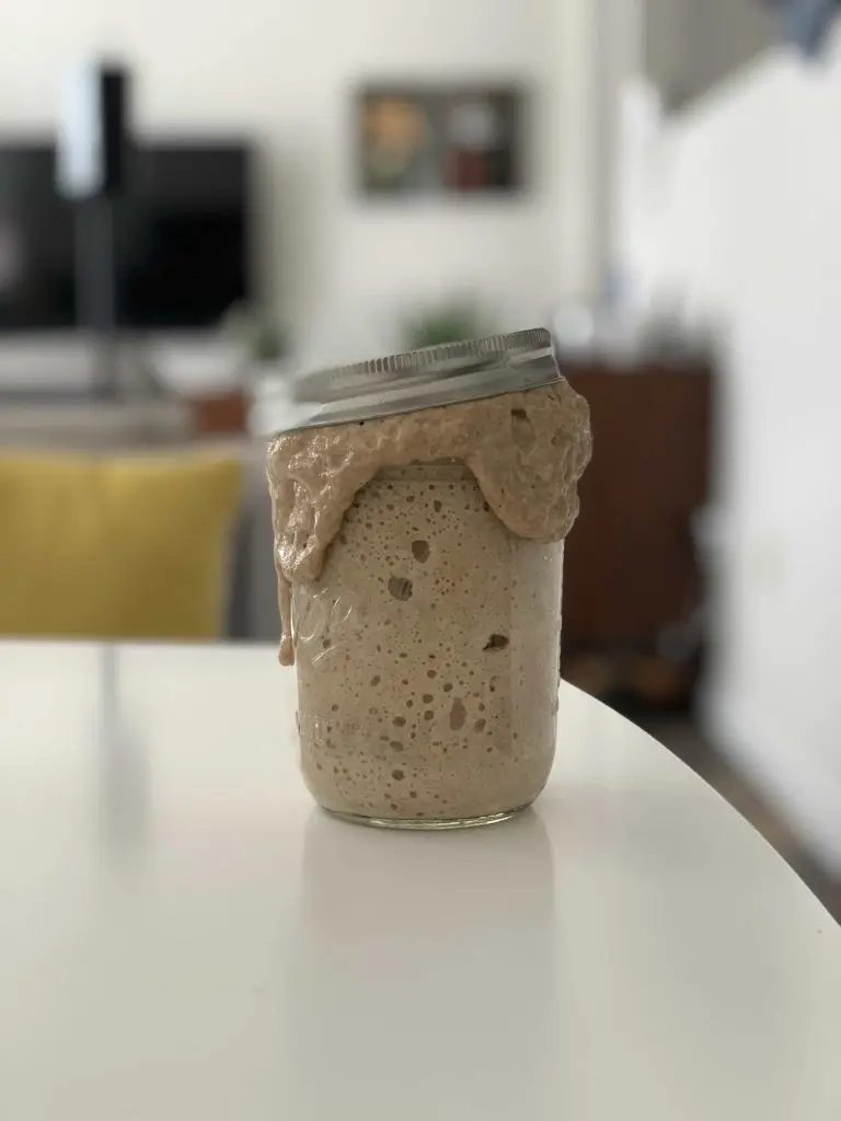 Sourdough Yeast